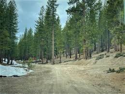 Russell Valley Homestead