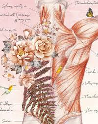 Muscles Of The Back Print Poster Back Muscles Art Massage Etsy In 2020 Anatomy Art Massage Art Massage Therapy