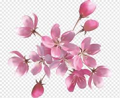 images?q=tbn:ANd9GcRez06-6GExwsMCPLISaj7