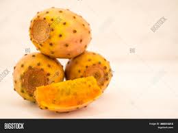 Get details on classic favorite plants like hydrangeas, orchids, and ornamental grasses, as well as. Edible Prickly Pear Image Photo Free Trial Bigstock