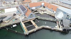 Is health harbour massage & acupuncture in wollongong open now? The Diel Pattern In Harbour Porpoise Clicking Behaviour Is Not A Response To Prey Activity Scientific Reports