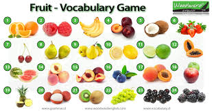 fruit picture game english vocabulary game