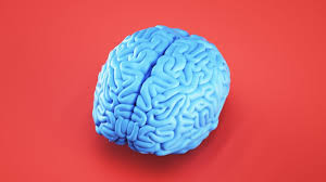 Check spelling or type a new query. This Neuroscientist Was Diagnosed As A Secret Psychopath At Age 60 Here Are 3 Signs You Might Be 1 Too Inc Com