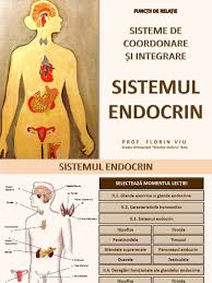 Timus türkçe içindeki çevirilerine dikkat et. 713 Sistemul Endocrin Ppsx