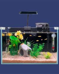 Image result for Terrarium Cling Background