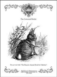 If you want to purchase some coloring pages to go along, check out the peterson field guide. Burgess Books Colouring Pages For Homeschoolers Homeschool Nature Study Animal Book Homeschool Art