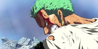 Did They Skip Zoro ' Dying' This In The Anime?? : R/Onepiece