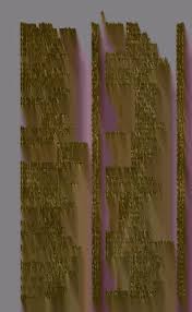 Image result for Crotalaria longithyrsa