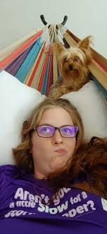 Lost Teacup Yorkie Found in Avis, SPCA Windhoek