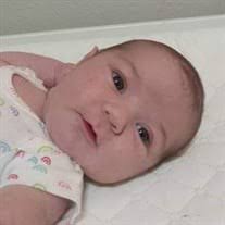 Saylor Grace Wallace Obituary (2023)