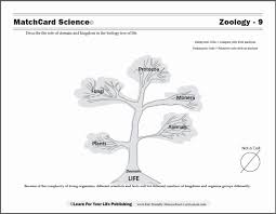 Domains And Kingdoms Worksheet Lovely Biology Tree Of Life Worksheets Telling Time Worksheets Time Worksheets