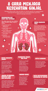 Antara cara menjaga kebersihan diri yang paling utama adalah melalui penjagaan gigi dan mulut. Infografik 8 Cara Menjaga Kesehatan Ginjal