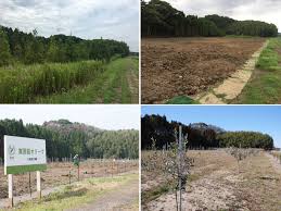 房総の耕作放棄地を再生し 新たなオリーブの産地にしたい 房総オリーヴ 2019 02 20 公開 クラウドファンディング Readyfor レディーフォー