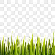 Green Grass Border On Transparent Background Vector Grass Clipart Green Meadow Png And Vector With Transparent Background For Free Download In 2021 Grass Clipart Grass Background Leaf Flowers