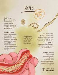 Pin En Medicine