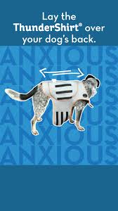 Mar 18, 2017 · first, you should measure your dog's chest to ensure that it's not too loose or tight. Thunderworks Home Facebook