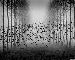 Î‘Ï€Î¿Ï„Î­Î»ÎµÏƒÎ¼Î± ÎµÎ¹ÎºÏŒÎ½Î±Ï‚ Î³Î¹Î± Î±Î³Î±Ï€Î· Î±ÏƒÏ€ÏÎ¿Î¼Î±Ï…ÏÎ·