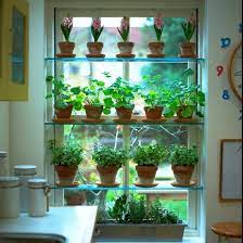 Great for decorating small apartments and homes, window glass shelves are an inexpensive and practical concept that help beautify, style and personalize your interior decorating, bringing color, texture, various shapes and interesting items into room decor. Growveg Com On Twitter Grow Herbs On Glass Shelves Inside Kitchen Window Shelves Don T Block Any Light The Herbs Are Close By When Cooking Http T Co Jn6dvlc2