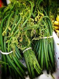 蕨菜這種 蕨類植物 有人吃過嗎 是否有安全隱患 asparagus vegetables zucchini
