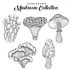 Black And White Mushroom Hand Drawn Black And White Mushroom Collection In 2020 How To Draw Hands White Mushrooms Stuffed Mushrooms
