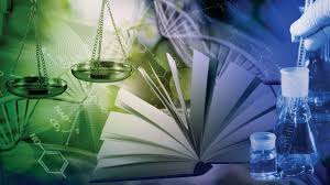 What degree does a chiropractor need. The Best Chiropractic School Prerequisites And Preparation