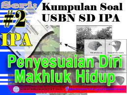 Soal klasifikasi makhluk hidup materi ipa kelas 7 smp/mts kurikulum 2013. Kumpulan Soal Usbn Sd Ipa 2019 Tentang Penyesuaian Diri Sdn Ratujaya 1