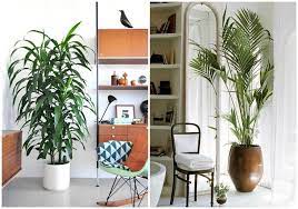 Un pequeño jardín botánico en el interior de vuestra casa con plantas colocadas en estanterías y con plantas colgantes. Decorar Con Plantas En Casa Plantas De Interior Decoracion Hogar Decoracion Plantas