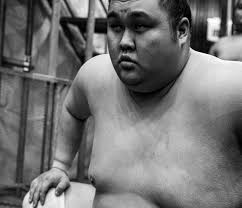 Remainder of Sumo set.