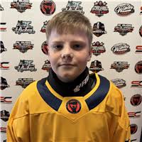 Player Development League