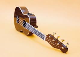 Check spelling or type a new query. She Shreds Media