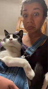 Lost Cat Rudy in Fort Wayne near Redwood Apartments