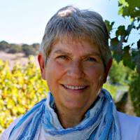 Wild West Rotarians, sea creatures and cowboys light up the Valley