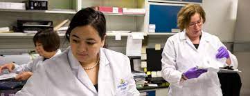 Catholic university's online doctor of nursing practice degree leads the way with comprehensive courses: Research Opportunities School Of Nursing At Johns Hopkins University