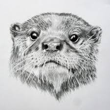 Mrs Otter Art Print By Sam J Thompson Society6 Otter Art Otter Illustration Pencil Drawings Of Animals