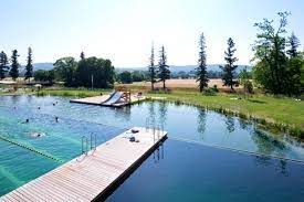 This Gorgeous Natural Swiss Pool Proves We Don T Need To Swim In Chlorine Natural Swimming Pools Swimming Pools Natural Pool