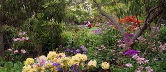 With both beauty and functionality, flowers are a must have in any vegetable garden. Gardens Te Ara Encyclopedia Of New Zealand