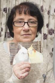 Bird lover who owned 80 budgies nearly died after developing Pigeon  Fancier's Lung