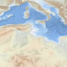 Image result for Cyclocotyla