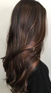 See more ideas about hair, long hair styles, hair styles. How To Diy Highlights For Dark Hair At Home Full Guide Belletag