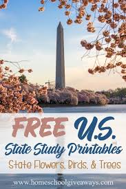 I love that it's native to almost the entire lower 48 states and. Free U S State Study Printables State Flowers Bird And Trees Homeschool Giveaways
