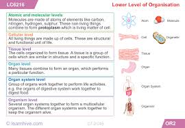 Learning Card For Lower Level Of Organisation Biology Worksheet Levels Of Organization Biology Learn Biology