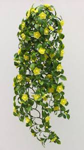 The draping branches spill out over the container to create a magnificent display for a front porch or backyard patio. Busy Lizzie Direct