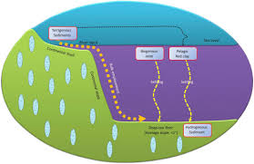 The trench zones are characterized by complete darkness and unimaginable pressures of up to 16,000 pounds per square inch. Deep Sea Sediment An Overview Sciencedirect Topics