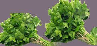 اعشاب تقضي علي ضعف الانتصاب عند الرجال herbs treatment food