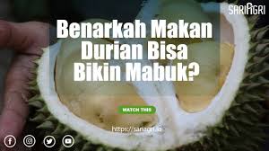 Warna buahnya sama seperti buah durian pada umumnya, isinya berair dan rasanya manis. Dibanding Sabun Batangan Kulit Durian Lebih Ampuh Bunuh Bakteri Hortikultura Sariagri Id