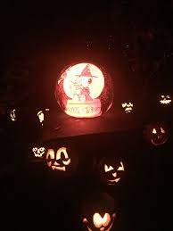 Part Of The Carved Pumpkins For The Minnesota Zoo Jack O Lantern Spectacular 2018 Jack O Lantern Spectacular Pumpkin Carving Jack O Lantern