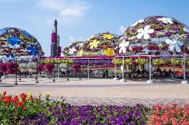 Maybe you would like to learn more about one of these? Miracle Garden Mit Hotel Abholung Und Ruckfahrt In Dubai 2021 Tiefpreisgarantie