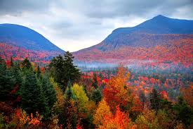 Nov 17, 2020 · new hampshire may have the shortest seacoast of any state, but it has one of the northeast's favorite family beach resorts. Best Places To See Fall Foliage In New Hampshire