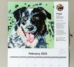 Find great deals on ebay for custom pet portraits. Pet Portrait Calendars 2021 Victoria Ragdolls