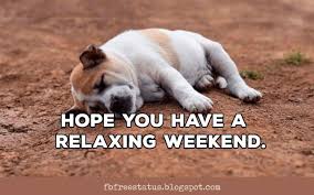 Apr 23, 2021 · tgif! Funny Happy Weekend Quotes With Memes Images Pictures Happy Weekend Quotes Weekend Quotes Happy Weekend Images